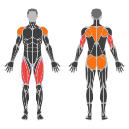 Turkish Get Up affected muscles