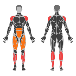 Jumping Jacks affected muscles