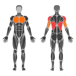 Standing Downward Dog affected muscles