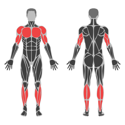 Full Body Practice affected muscles