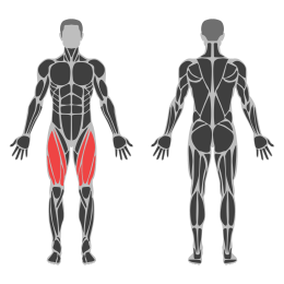 Poliquin Step-Up affected muscles