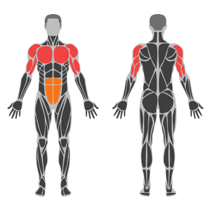 Triceps and Chest affected muscles
