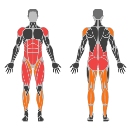 Legs and Core affected muscles