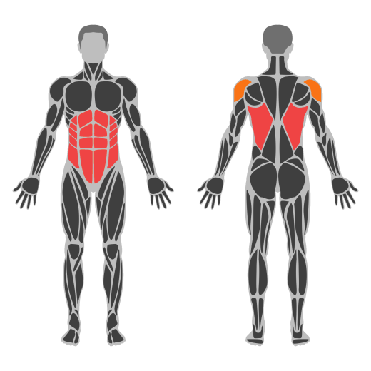 Band Half Kneeling Chop affected muscles