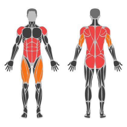 Full Body Strength affected muscles