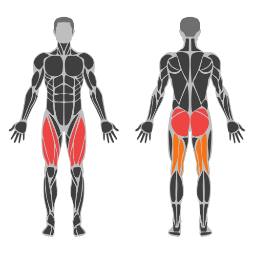 Narrow Stance 45 Degree Leg Press affected muscles