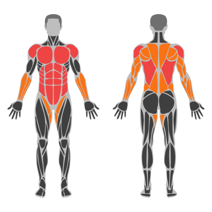 Upper Body Balance affected muscles