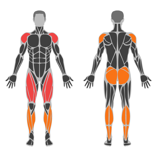 Barbell Thruster affected muscles