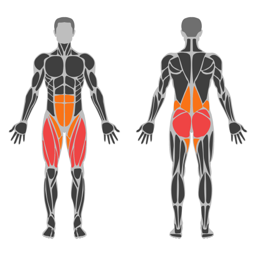 High-Bar Squat affected muscles