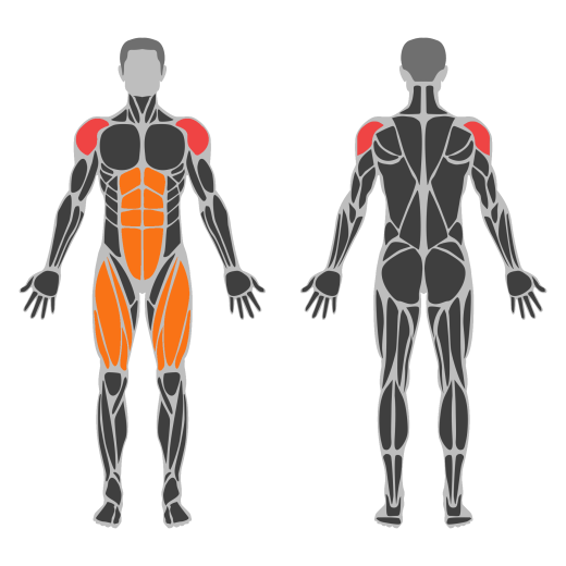 Dumbbell Push Press affected muscles
