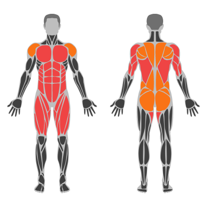 Full Body A affected muscles