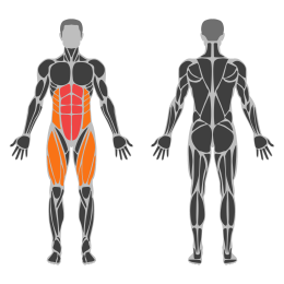 V-Sit Crunch affected muscles