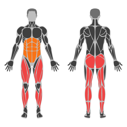 Glute Strength affected muscles