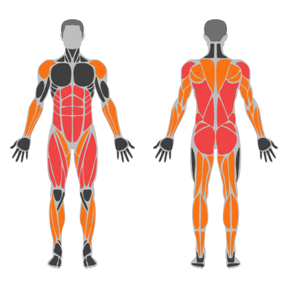 Back and Legs Support affected muscles