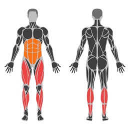 Treadmill Run affected muscles