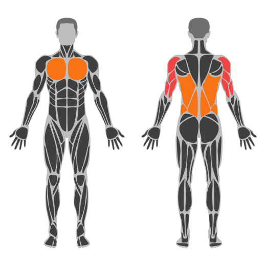 Muscle-up affected muscles