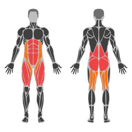 Lower Body Strength affected muscles