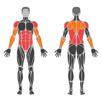 Upper Body Balance affected muscles