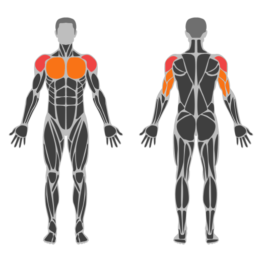 Machine Shoulder Press affected muscles