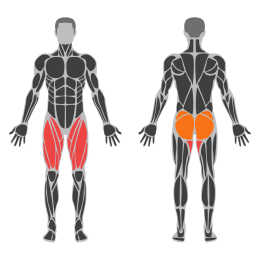 Dumbbell Side Lunges affected muscles
