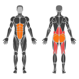 Power clean affected muscles