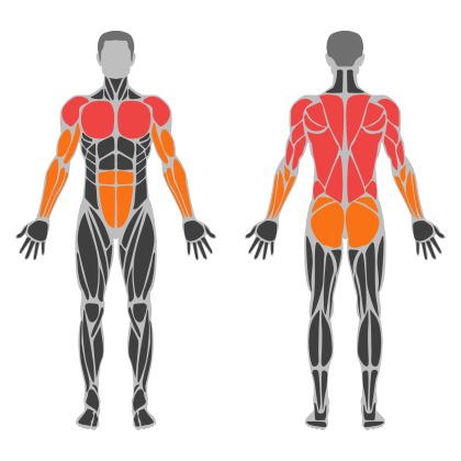 Upper Strength affected muscles