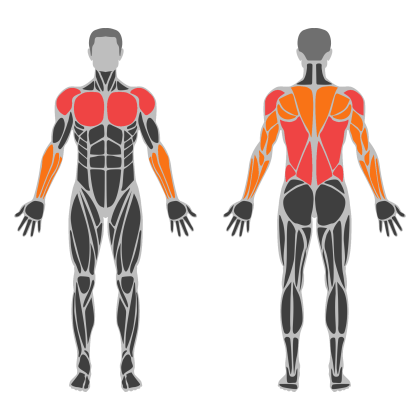 Upper Technique affected muscles