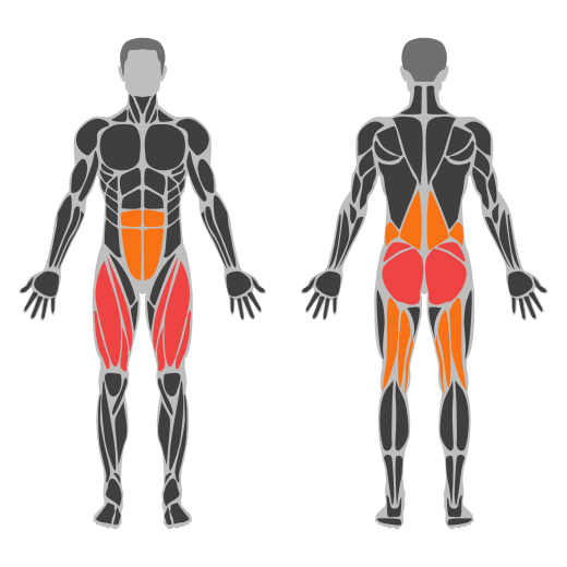 Machine Hack Squat affected muscles