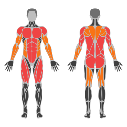 Full Body Technique affected muscles