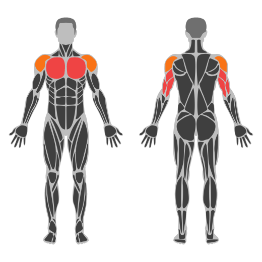 Barbell Larsen Press affected muscles