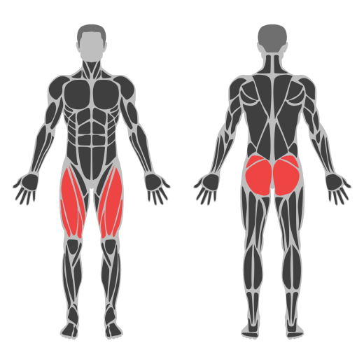 Bulgarian Squat Smith affected muscles