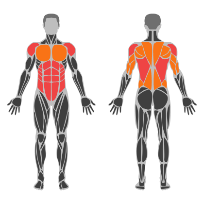 Posture Strength affected muscles