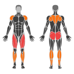 Kettlebell Swing affected muscles