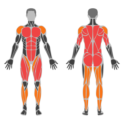 Full Body Technique affected muscles