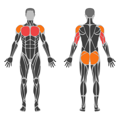 Chest Strength affected muscles