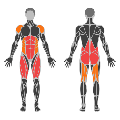 Lower Body Strength affected muscles