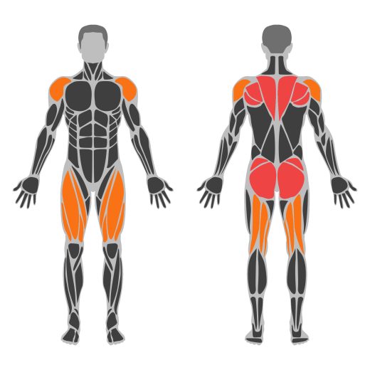 Snatch Pull affected muscles