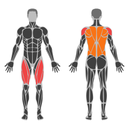 Snatch affected muscles