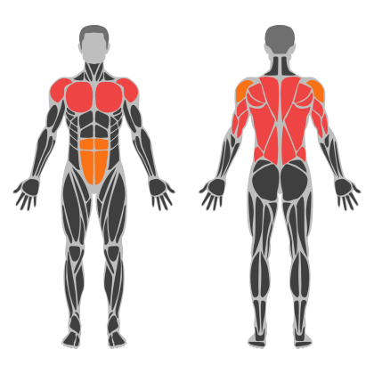 Chest Strength affected muscles