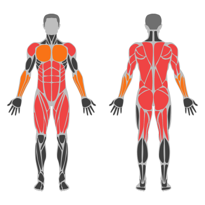 Conditioning Circuit affected muscles