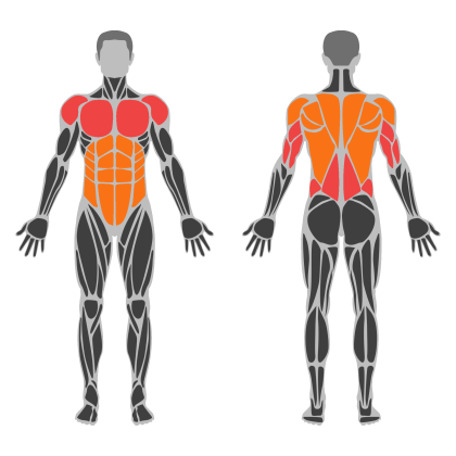 Chest Strength affected muscles