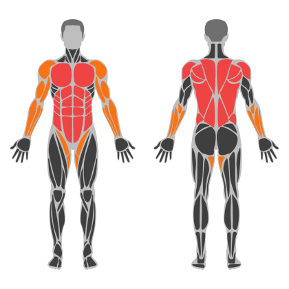 Posture Strength affected muscles