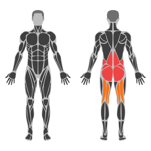 Smith sprava Dobro jutro affected muscles