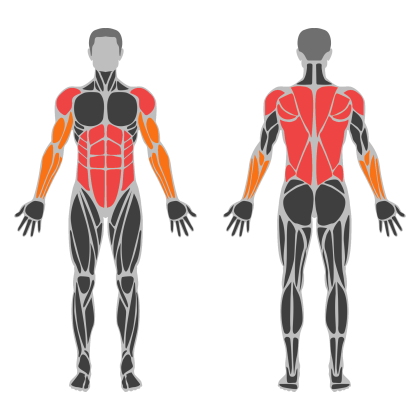 Upper Body Balance affected muscles