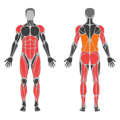 Conditioning Circuit affected muscles