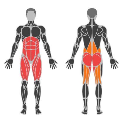 Legs affected muscles