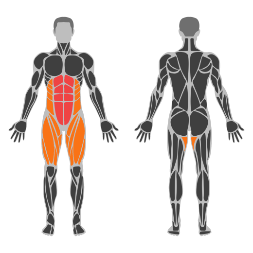 Dead Bug affected muscles