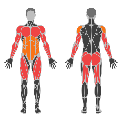 Full Body Practice affected muscles