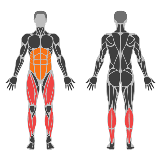 Treadmill Run affected muscles