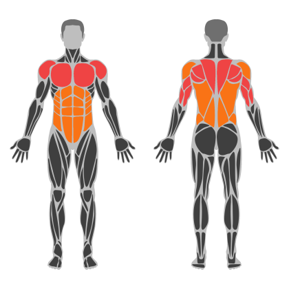 Chest Strength affected muscles